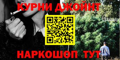 стаф Кандалакша
