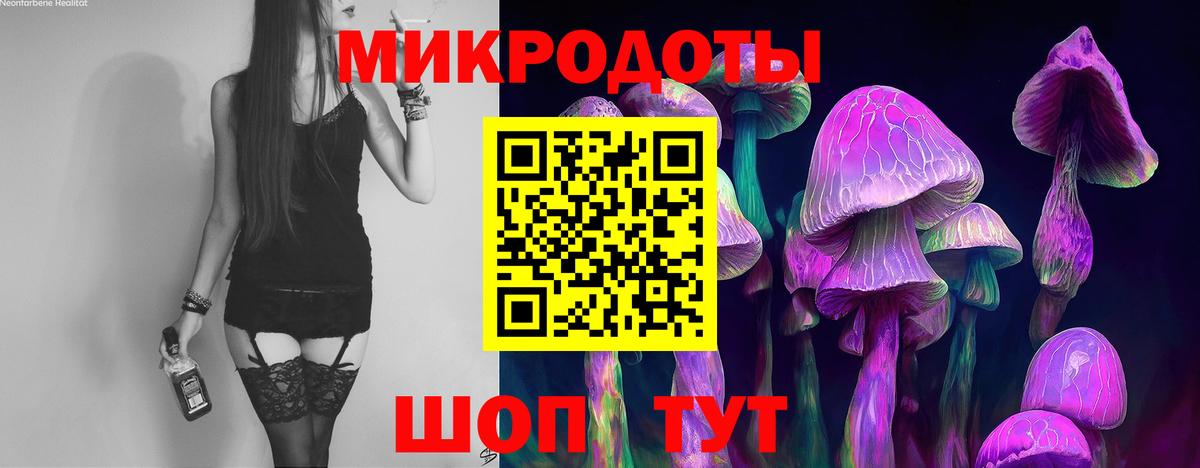 Галлюциногенные грибы Cubensis Лабинск